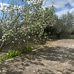 Vala