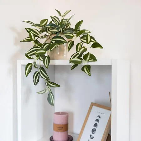 Apartamento Vala