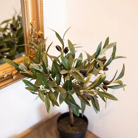 Vala Apartman Betina