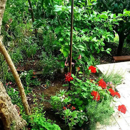 Apartman Vala Betina