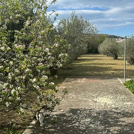 Apartment Vala