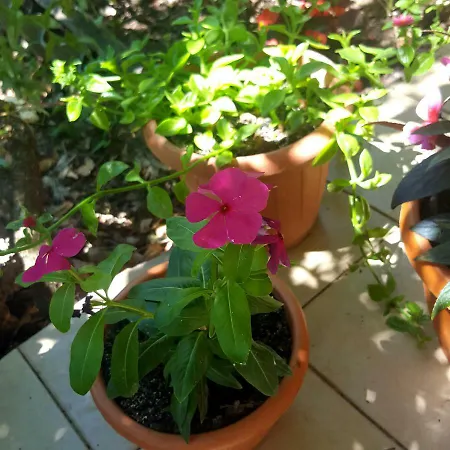 Apartamento Vala *
