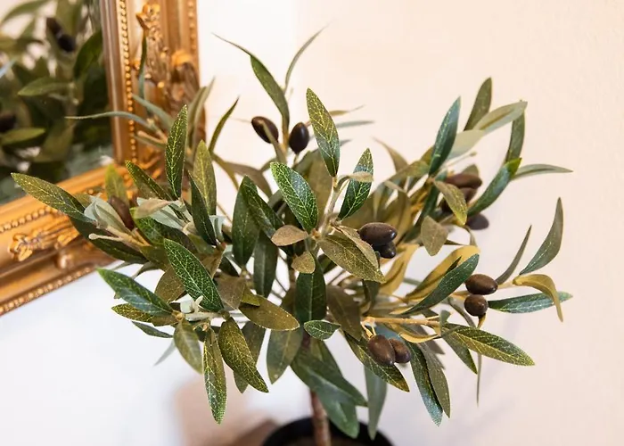 Vala Apartamento Betina (Sibenik-Knin)