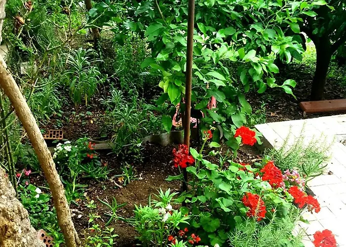 Apartamento Vala Betina (Sibenik-Knin)