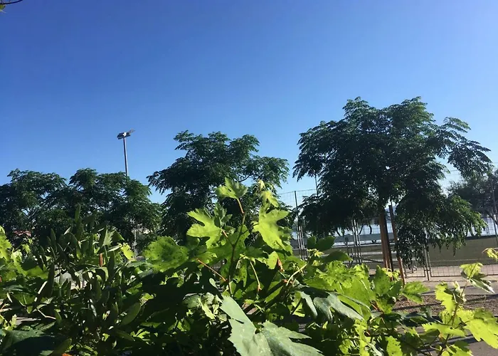 Vala Betina (Sibenik-Knin)